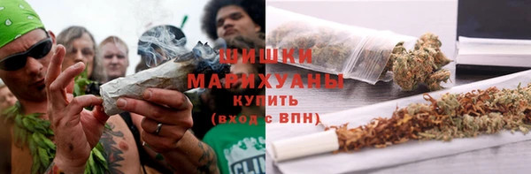 PSILOCYBIN Белокуриха