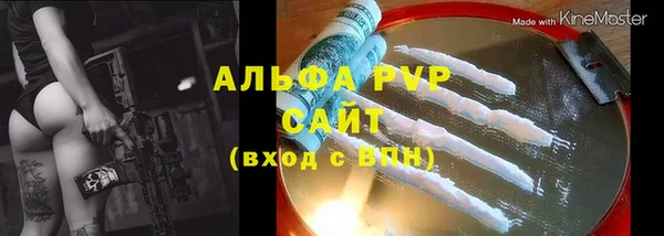 PSILOCYBIN Белокуриха