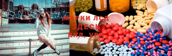 PSILOCYBIN Белокуриха